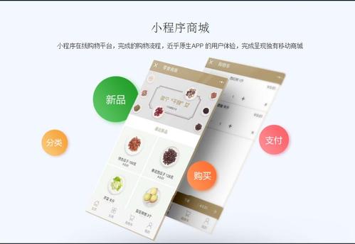 微信商城小程序上線后，如何運用技術手段高效推廣產品