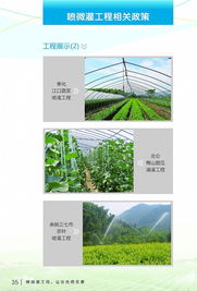 科技節水，智慧灌溉——寧波市水利局噴微灌技術推廣應用宣傳冊