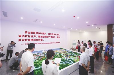海口農(nóng)村產(chǎn)權(quán)交易中心正式上線運營 開啟信息技術(shù)服務(wù)新篇章